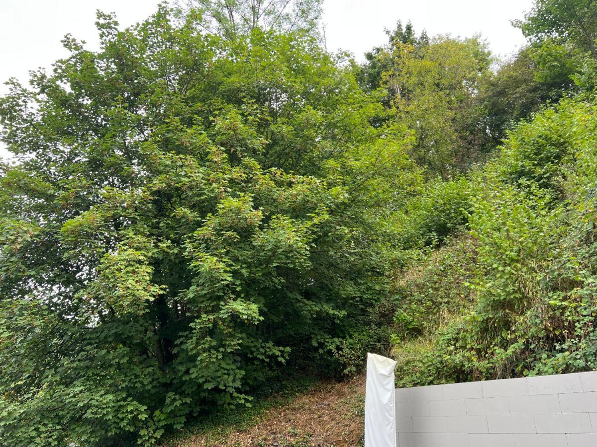 Aux Berges Du Bocq Villa Yvoir Exterior foto